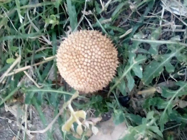 IMG-20190109-WA0011 IMG-20190109-WA0011