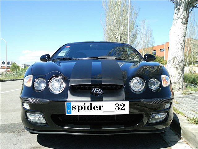 Copia de spider