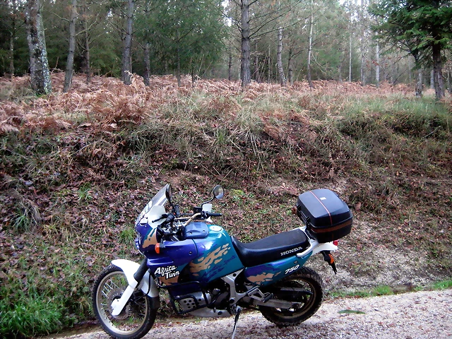 IMG_0540 IMG_0540