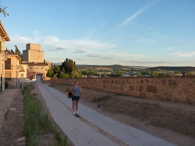 P1070604 P1070604