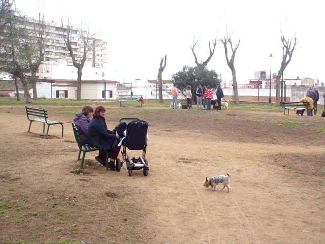 foro-Parque para perros en Huelva-15.02.14-J.Ch.Q 24
