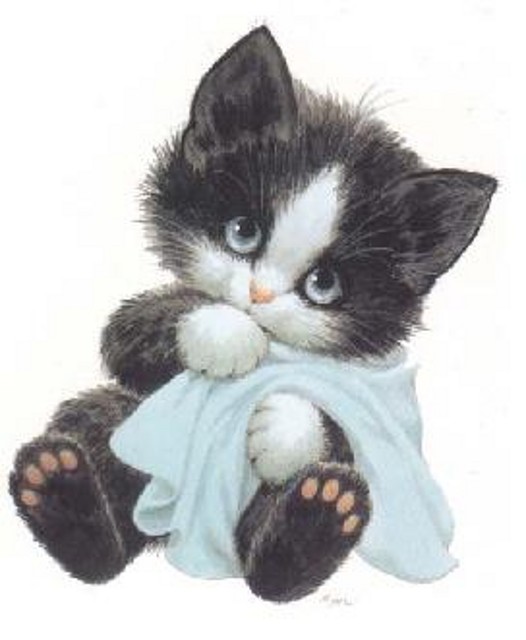 Gato_triste Gato_triste