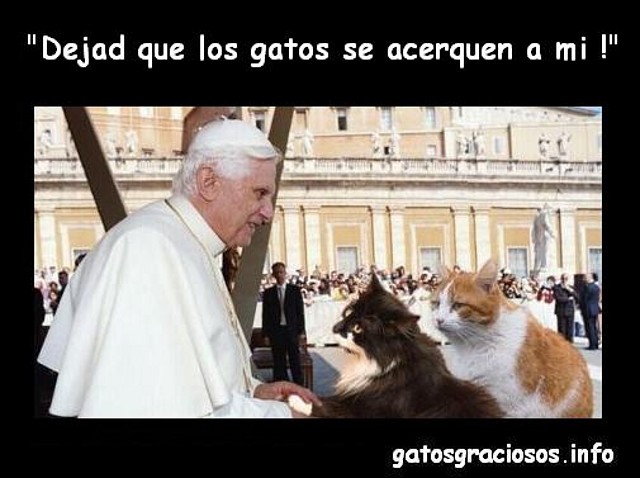 papa-benedicto-xvi-y-sus-dos-gatos papa-benedicto-xvi-y-sus-dos-gatos