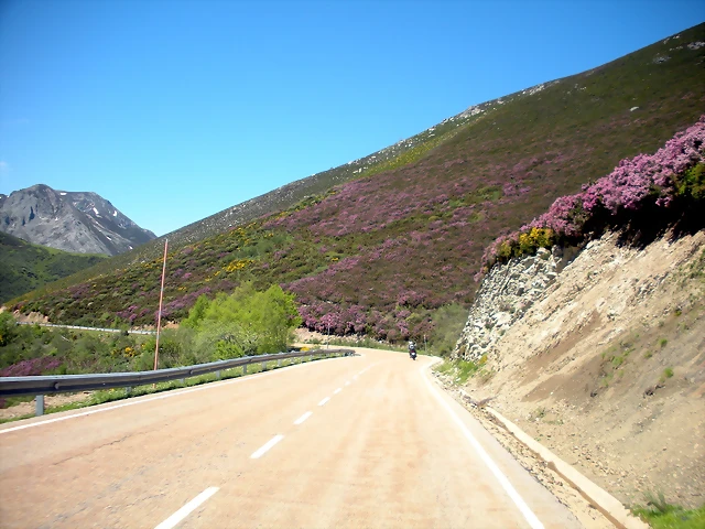 DSCN8533 DSCN8533
