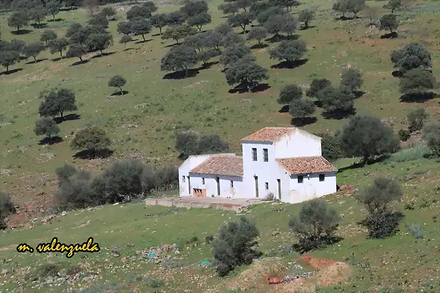 04, cortijo de roa, marca