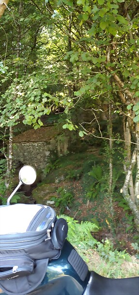 IMG_20220807_164827 IMG_20220807_164827