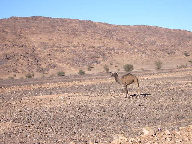 Marruecos044