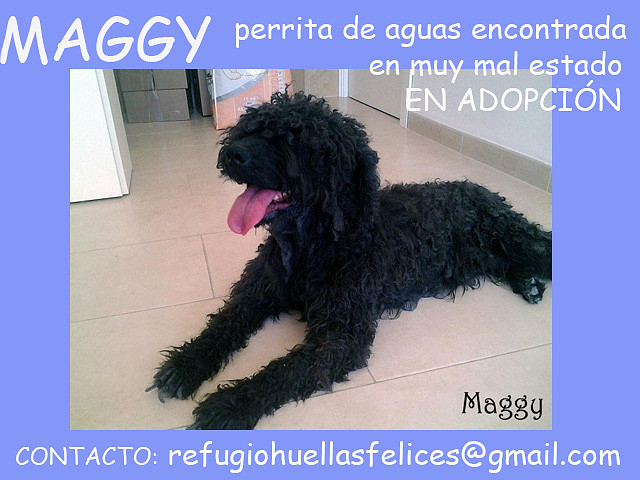 MAGGY