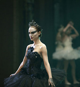 cisne-negro