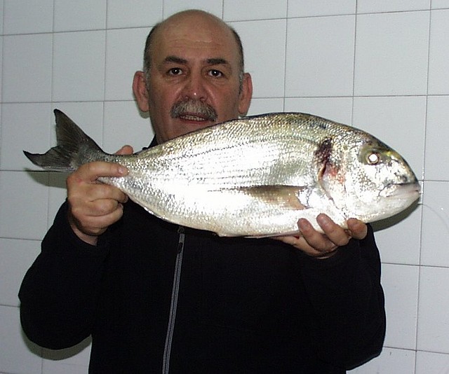 Yo con Dorada 28-07-2010 2,935kg SARDINERO