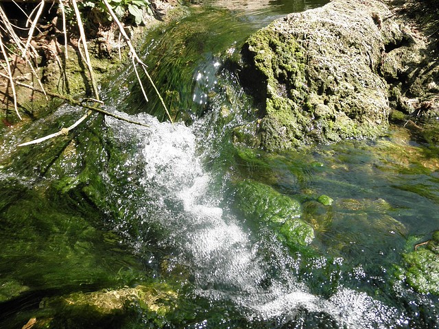 arroyo en julio