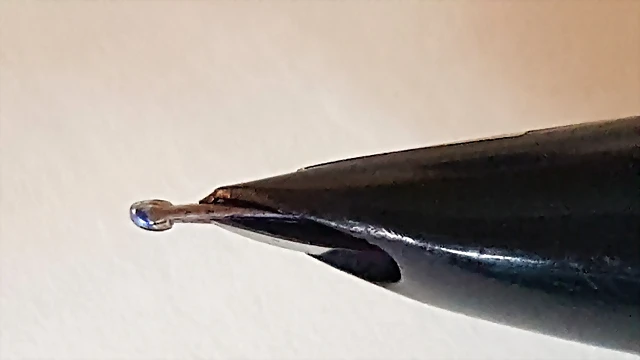 20180908_155916 20180908_155916