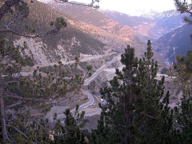 Ordino