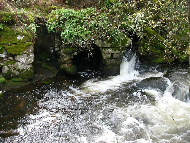 DSCN5749 DSCN5749