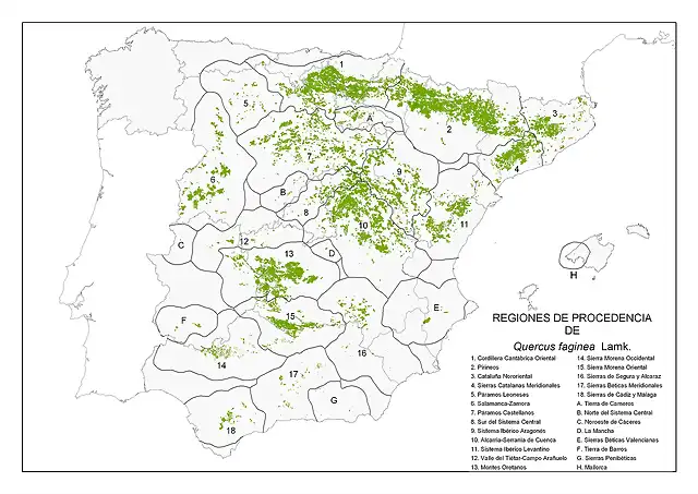 map_Quercus_faginea_tcm7-285939