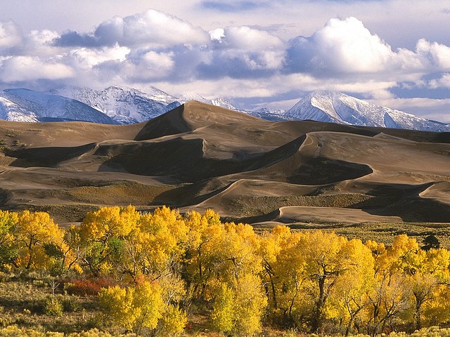 Dunes and Fall Color, Colorado Dunes and Fall Color, Colorado
