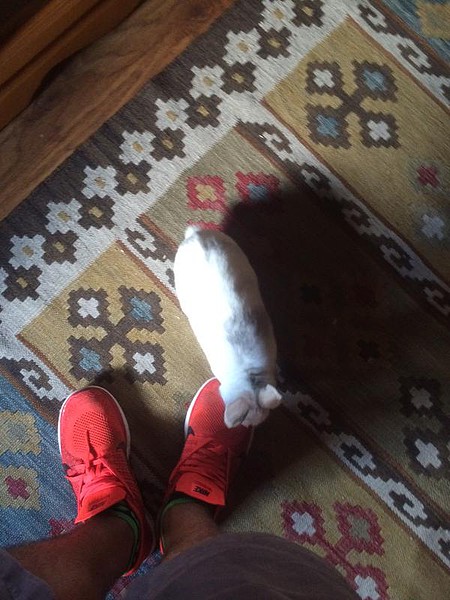 Hugo 20-7-2015 Hugo 20-7-2015