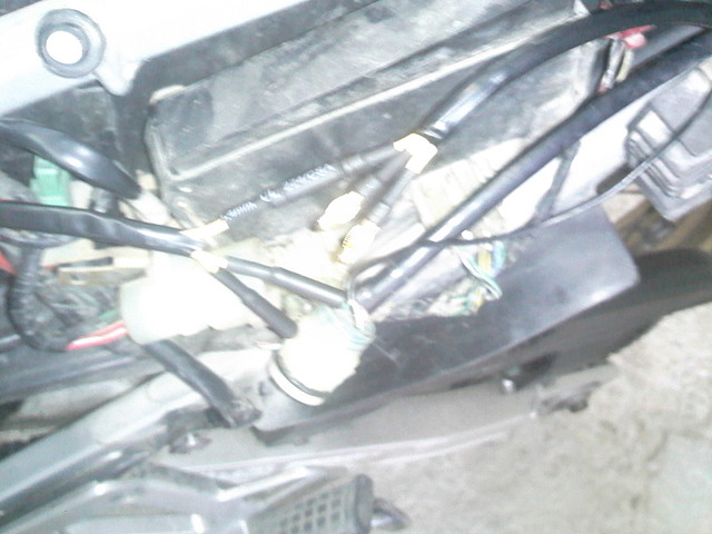 IMG038 IMG038