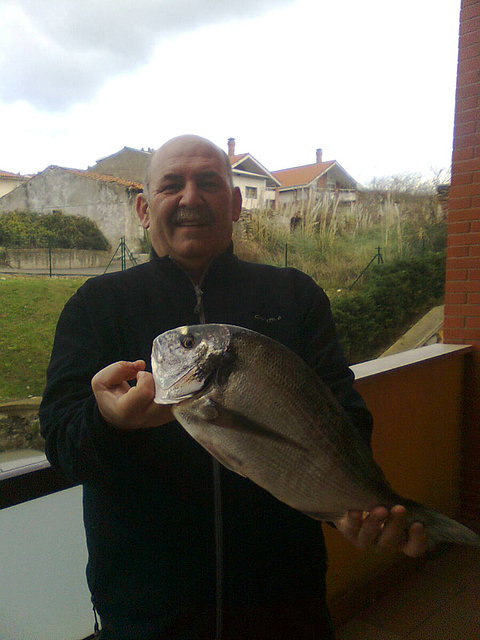 Dorada 2 kg 25.01.10