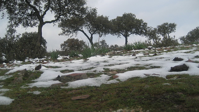 FEBRERO 2010. FITI 039