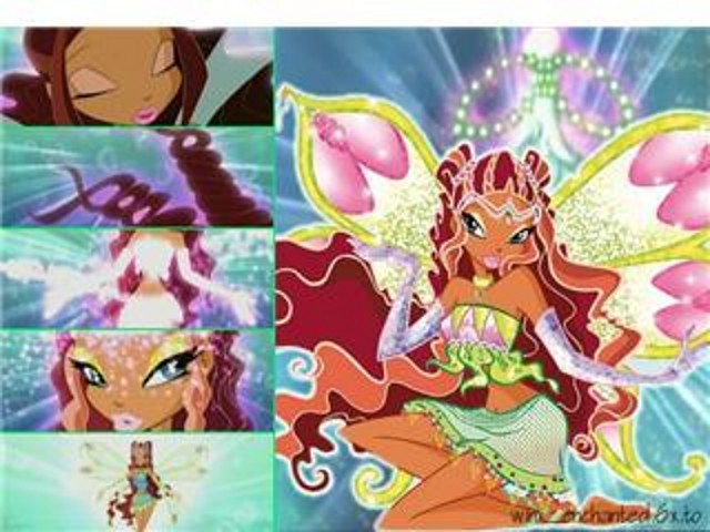 winx club layla