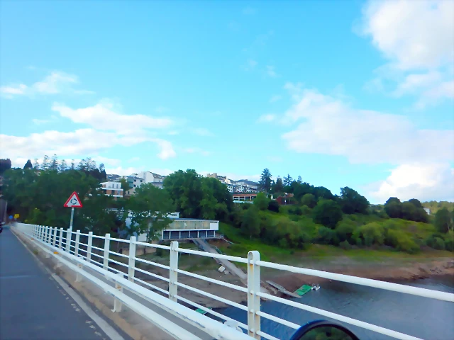 DSCN5274 DSCN5274
