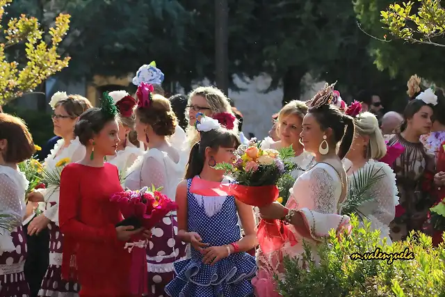 15, ofrenda de flores, marca