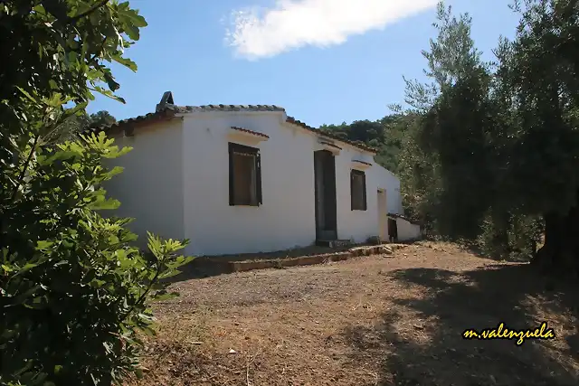 04, cortijo de jarillo, marca