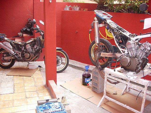 transplante de motor- (51) transplante de motor- (51)