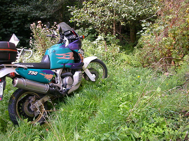 DSCN7494 DSCN7494