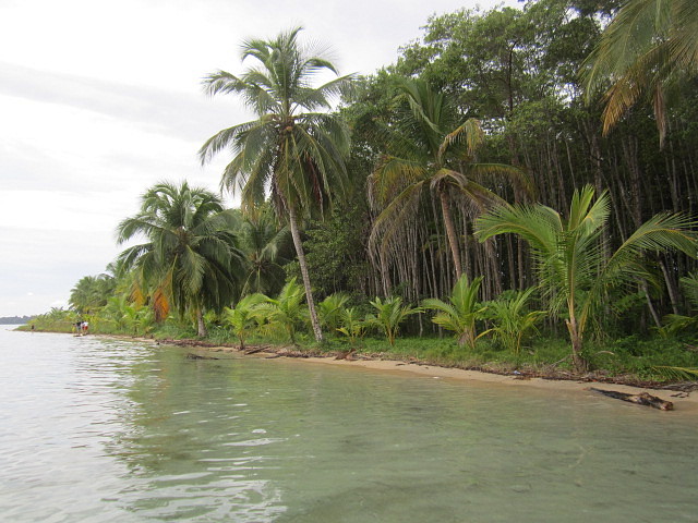 IMG_0105 IMG_0105