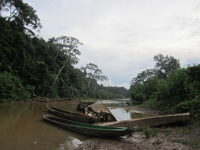 Rio Rio