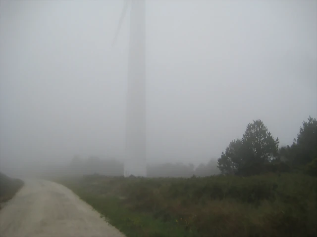 IMG_0221 IMG_0221