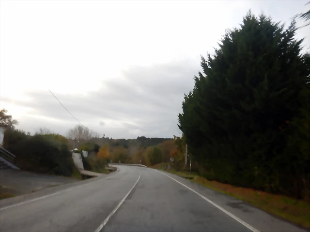 DSCN1794 DSCN1794