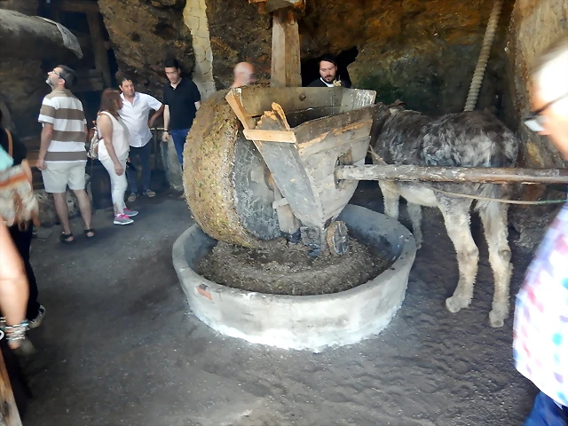 DSCN5236 DSCN5236