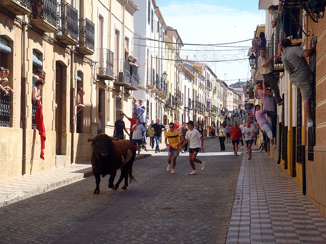 encierros en agosto12