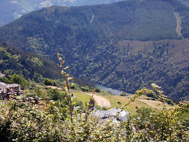 DSCN1557 DSCN1557