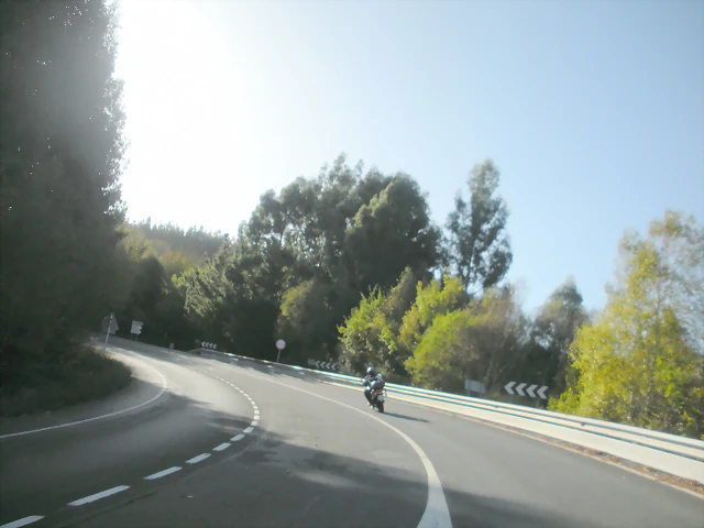 DSCN9946 DSCN9946