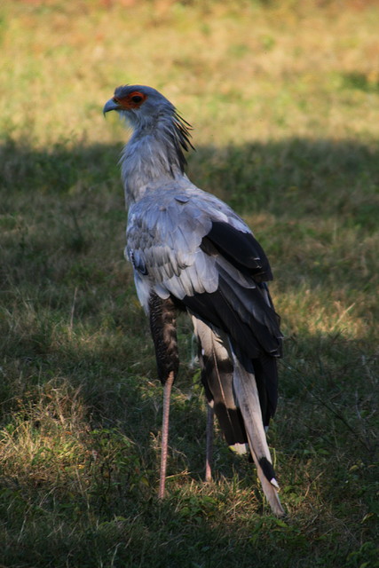 Kgaswane Mountain Reserve 19-04-09 & National Zoological Gardens 222