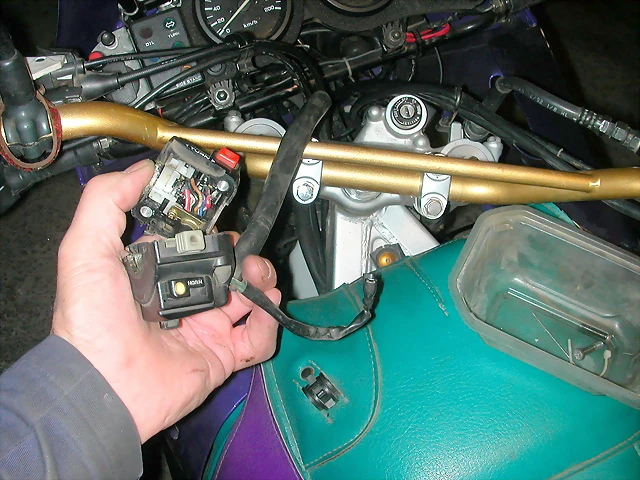 DSCN2955 DSCN2955