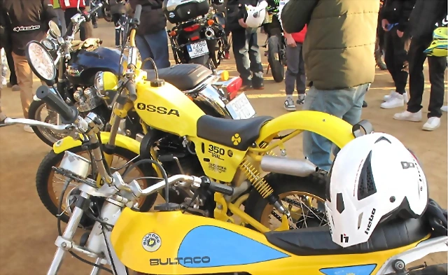 ossa amarilla ossa amarilla