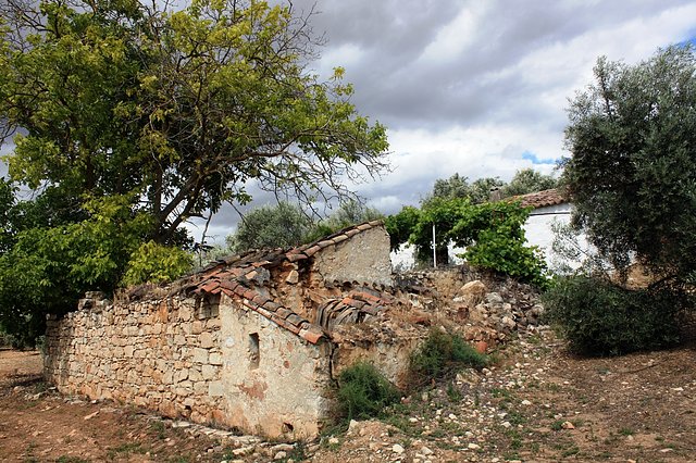 cortijo desde el olivar