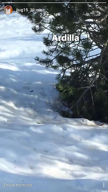 Video Hugo IG Stories 11-3-2017 (1) Video Hugo IG Stories 11-3-2017 (1)