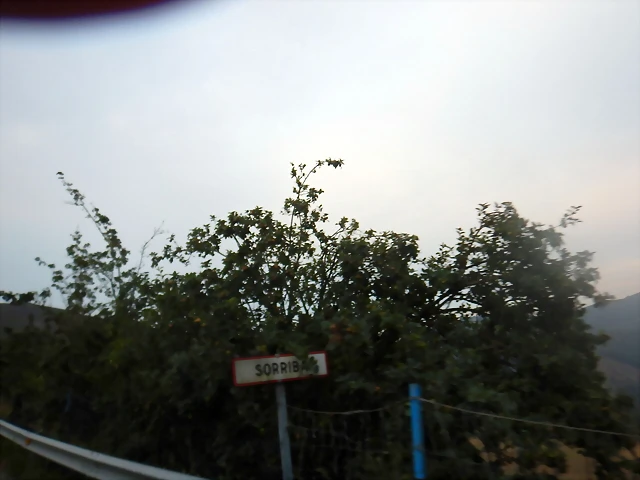 DSCN8796 DSCN8796