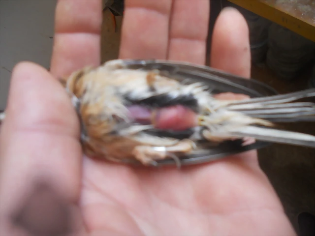 DSCN9757 DSCN9757