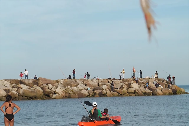 Mayo Mar del Plata 021