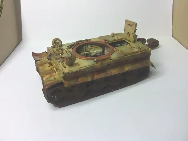 Tiger120