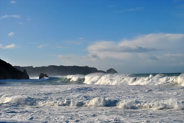 DSC_0599 DSC_0599