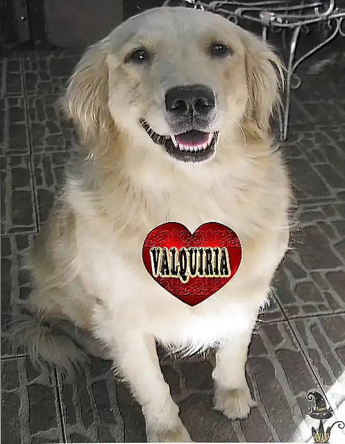 VALQUIRIA CORAZON