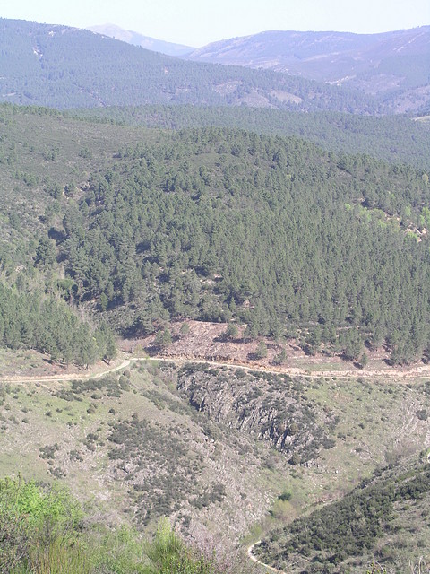 De camino a Alpedrete de la Sierra